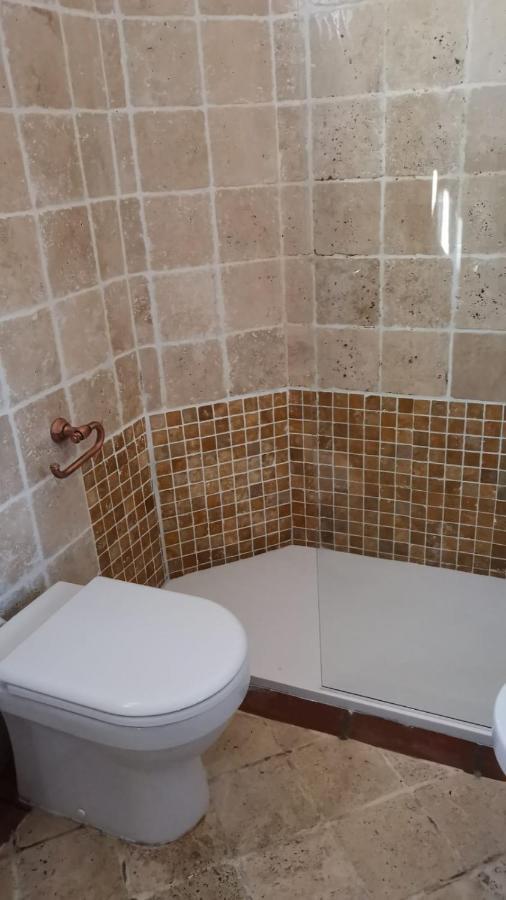 Conce Apartment Піза Екстер'єр фото